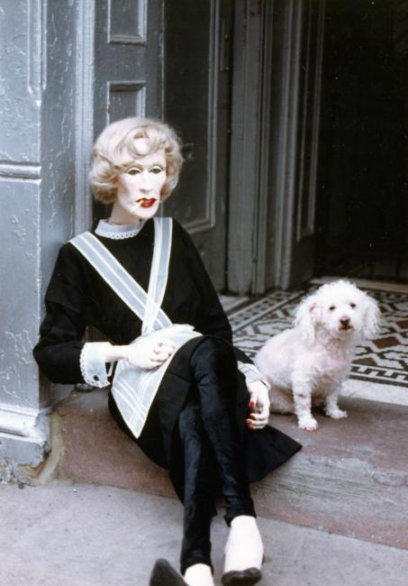 Sissy and Cherry the dog sitting in front of Einsteins