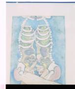 1993 "Real Sex," Salzburger Kunstverein, Austria